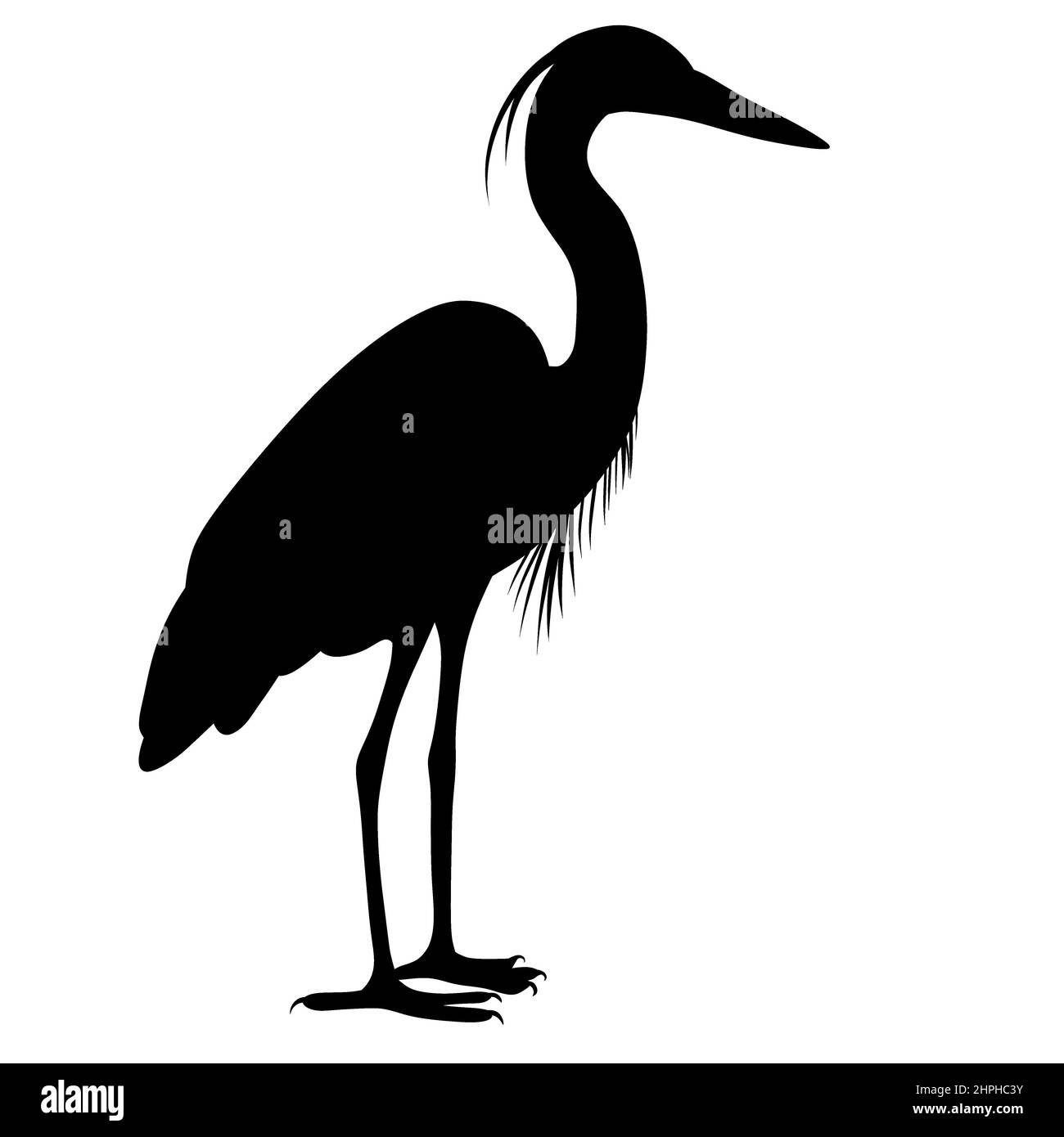 Silhouette nera di un airone. Un uccello d'acqua. Un parente della cicogna e della gru. Illustrazione di un animale Foto Stock