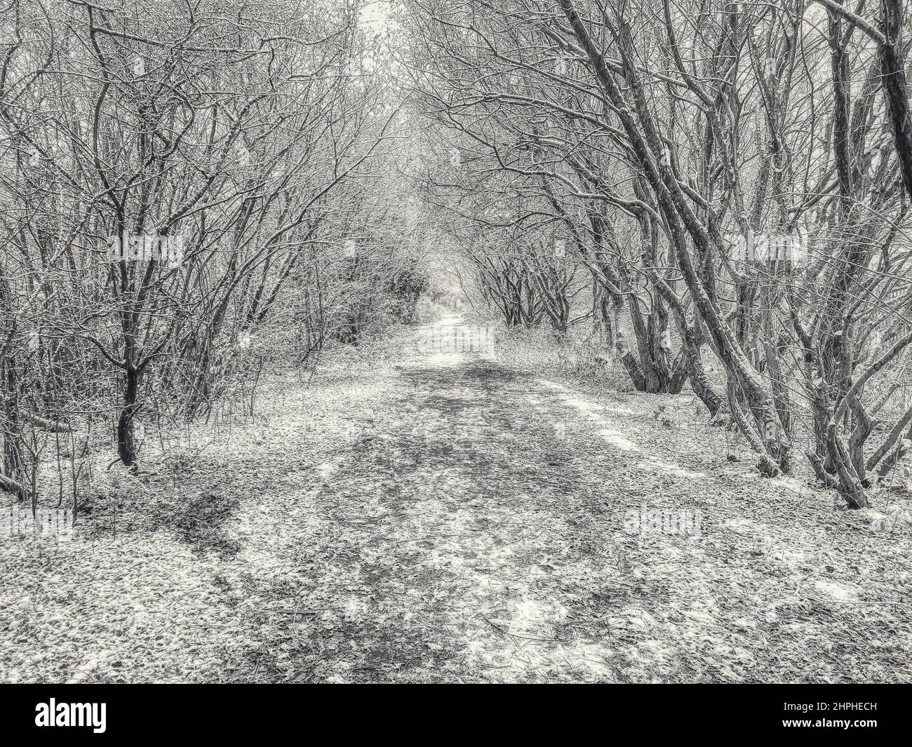 Winter Wonderland Foto Stock