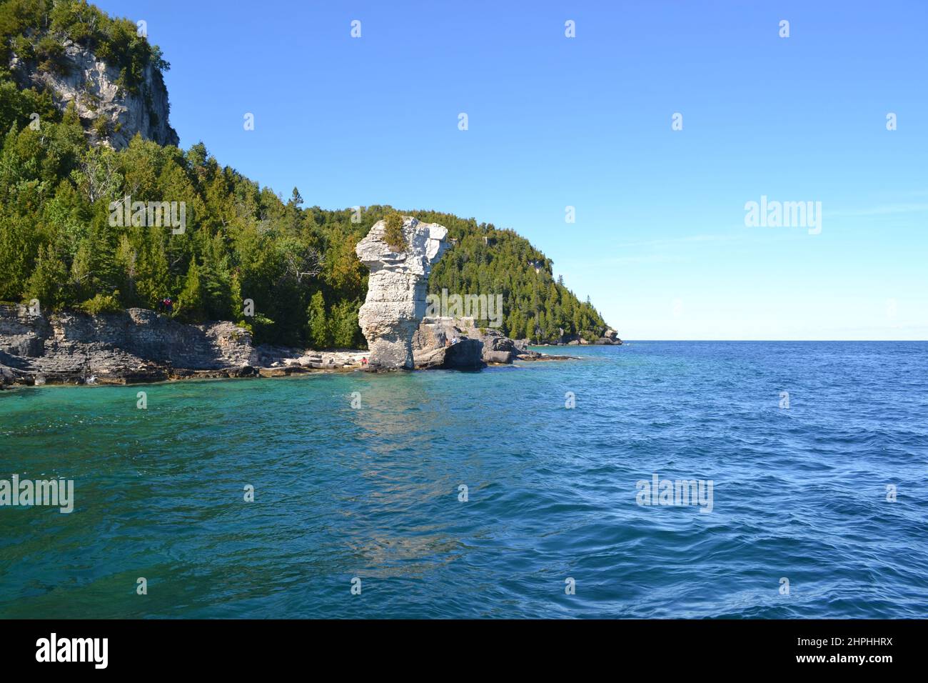 Tobermory fiore isola Foto Stock