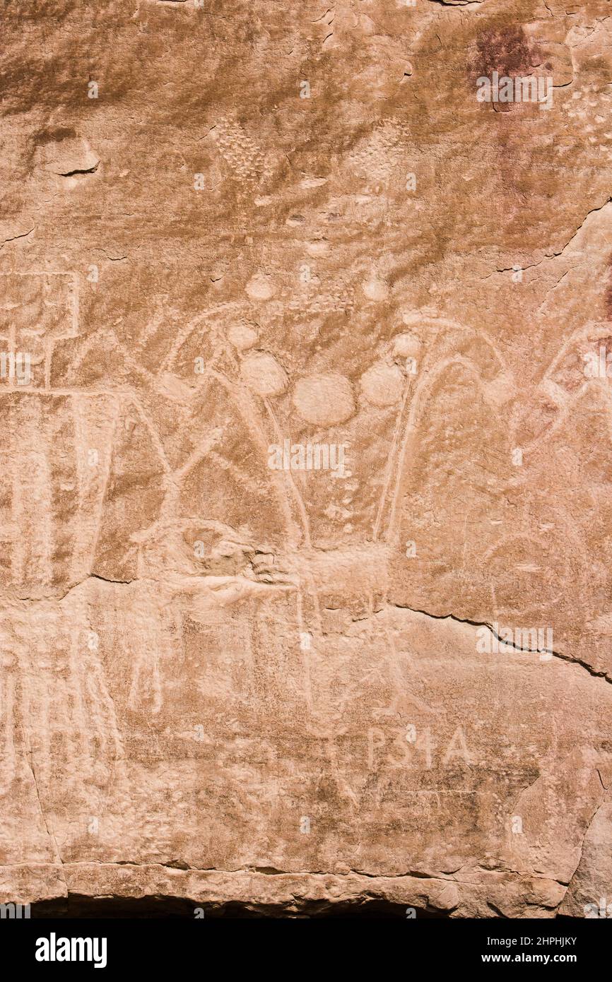 I petroglifi sul ranch McConkie nella forchetta asciutta del canyon di Ashley nello Utah settentrionale sono stati scolpiti nella pietra arenaria dalla gente della coltura di Fremont Foto Stock