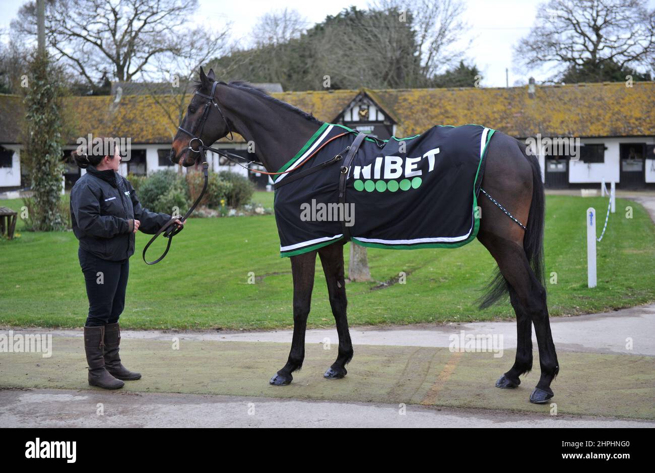 Shishkin che sta correndo nel campione Chase Racing trainer Nicky Henderson ha aperto le porte del suo cantiere sette Barrows a Lamborn davanti al che Foto Stock