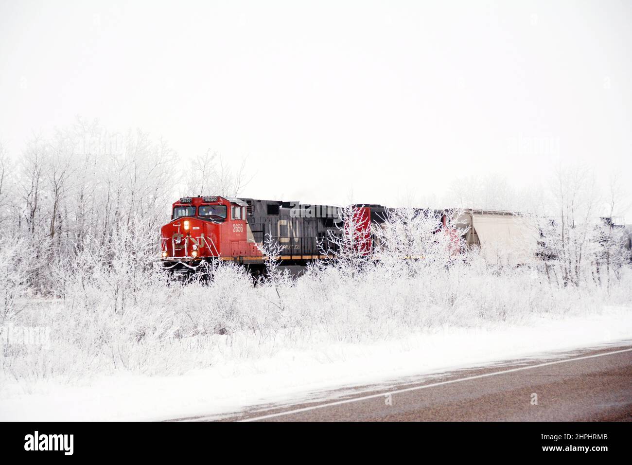 CN Rail treno che viaggia attraverso il gelo hoar in freddo giorno d'inverno a Saskatchewan, Canada Foto Stock