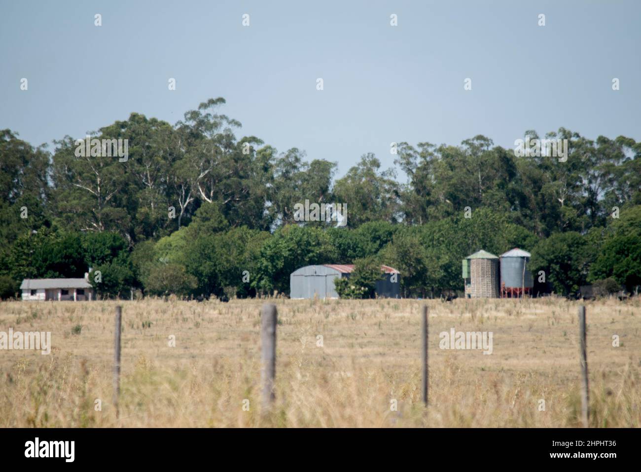 Paesaggio rurale di un campo in Entre Rios, Argentina Foto Stock