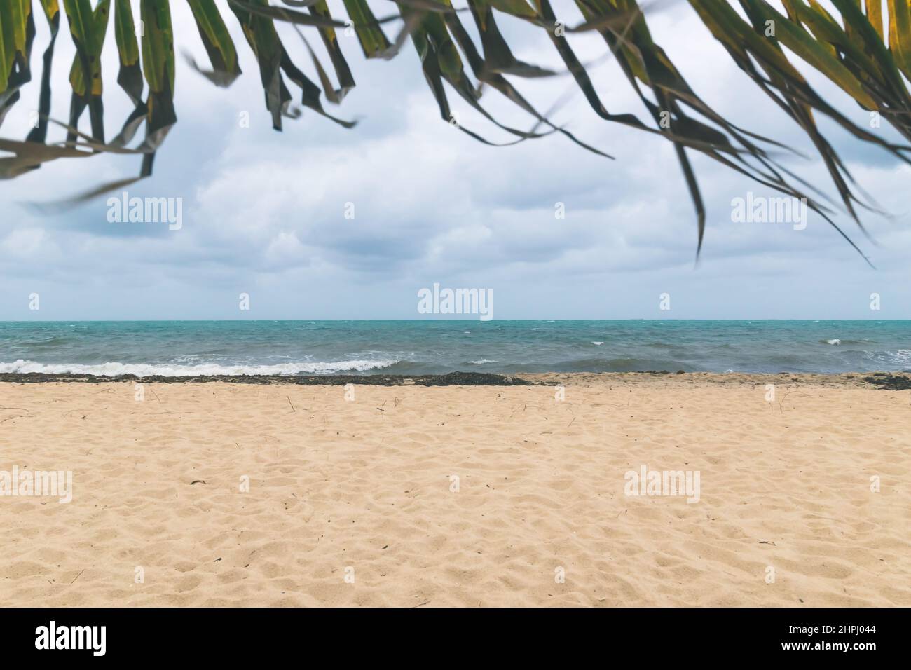 Foglie di palma sfocate soffiate dal vento incorniciando la spiaggia caraibica con alghe sargassum a Placencia, Belize Foto Stock