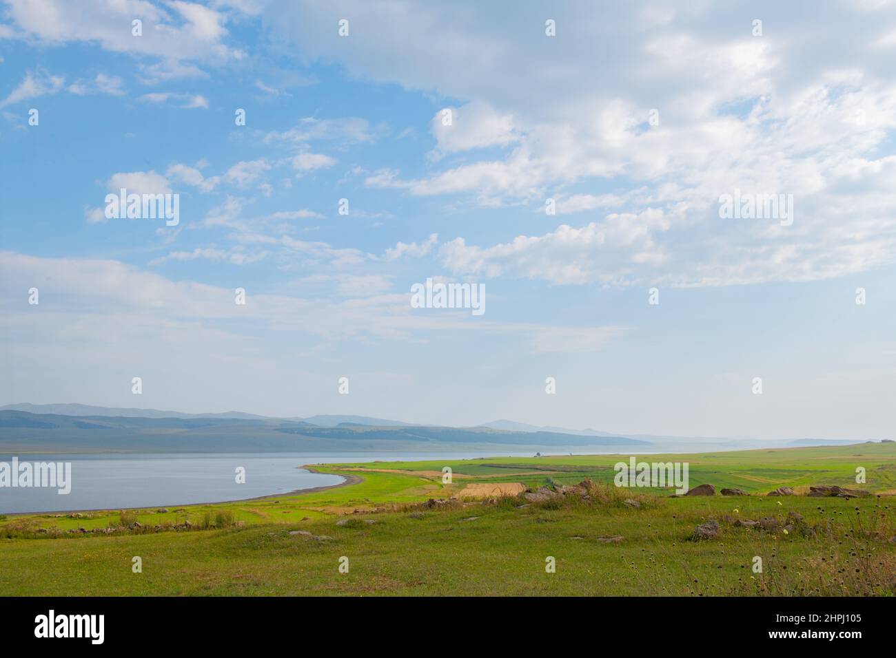 nuvole bianche nel cielo blu e un campo verde Foto Stock