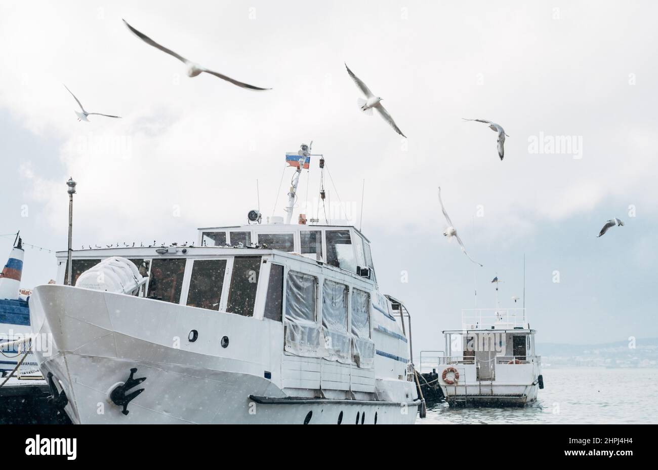Gelendzhik, Russia, 13 febbraio 2021: Molti uccelli volano sulle barche in mare vicino al molo. Foto Stock