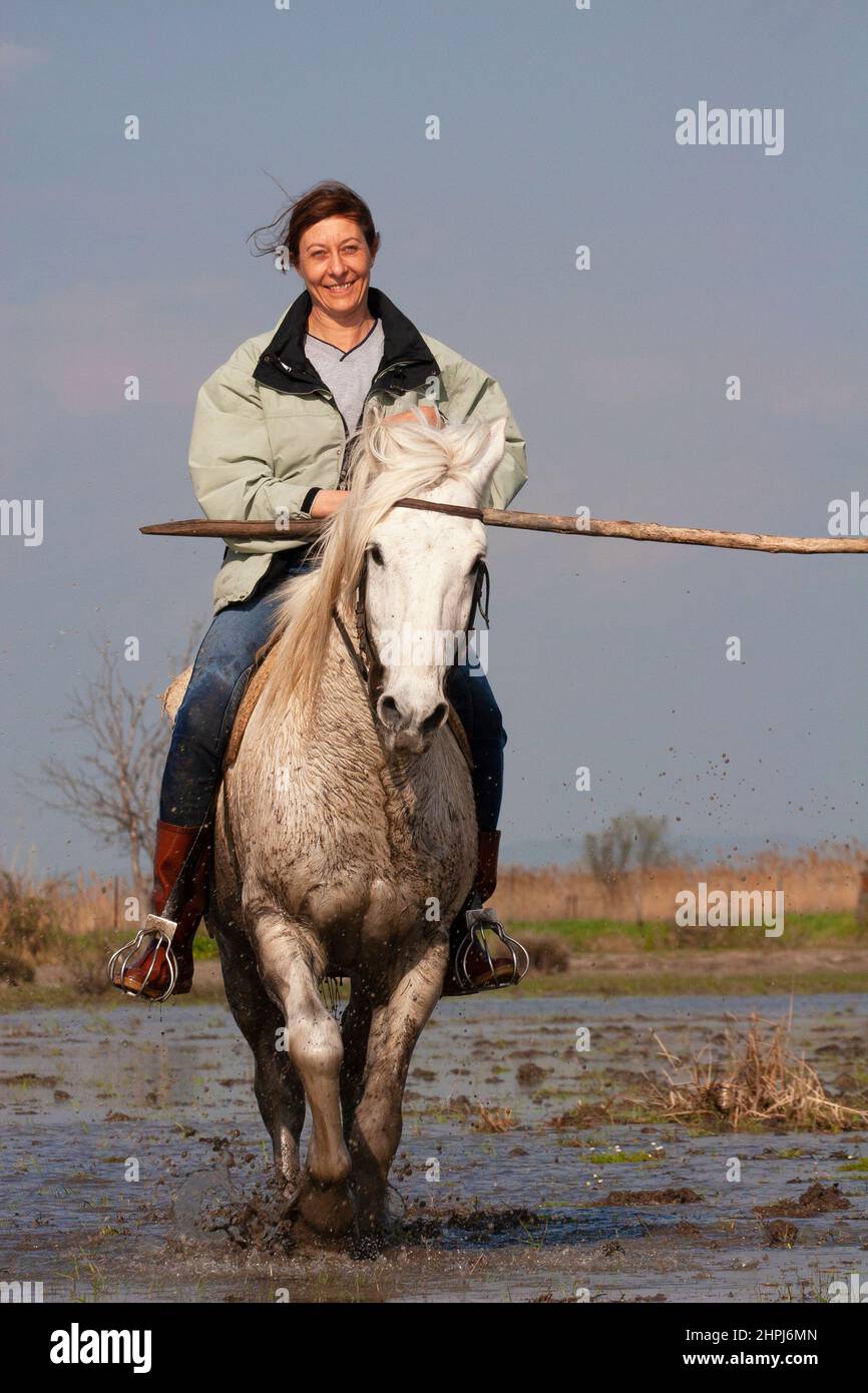 Donna a cavallo della Camargue attraverso la palude in Provenza, Francia meridionale Foto Stock