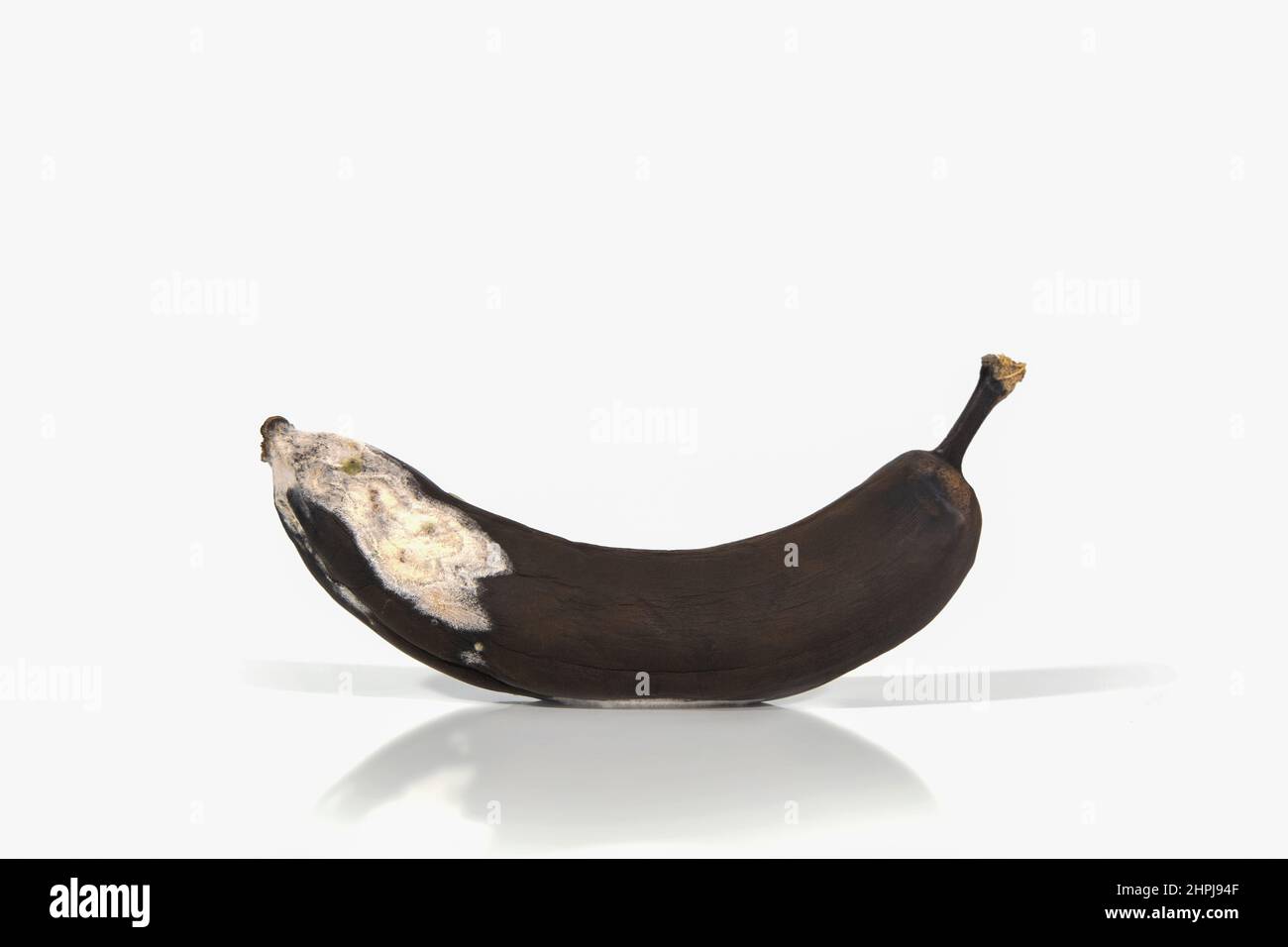 Banana rovinata su sfondo bianco con ombre e riflessi duri. Rifiuti organici frutta troppo matura. Cibi brutti, frutta. Spazio di copia Foto Stock