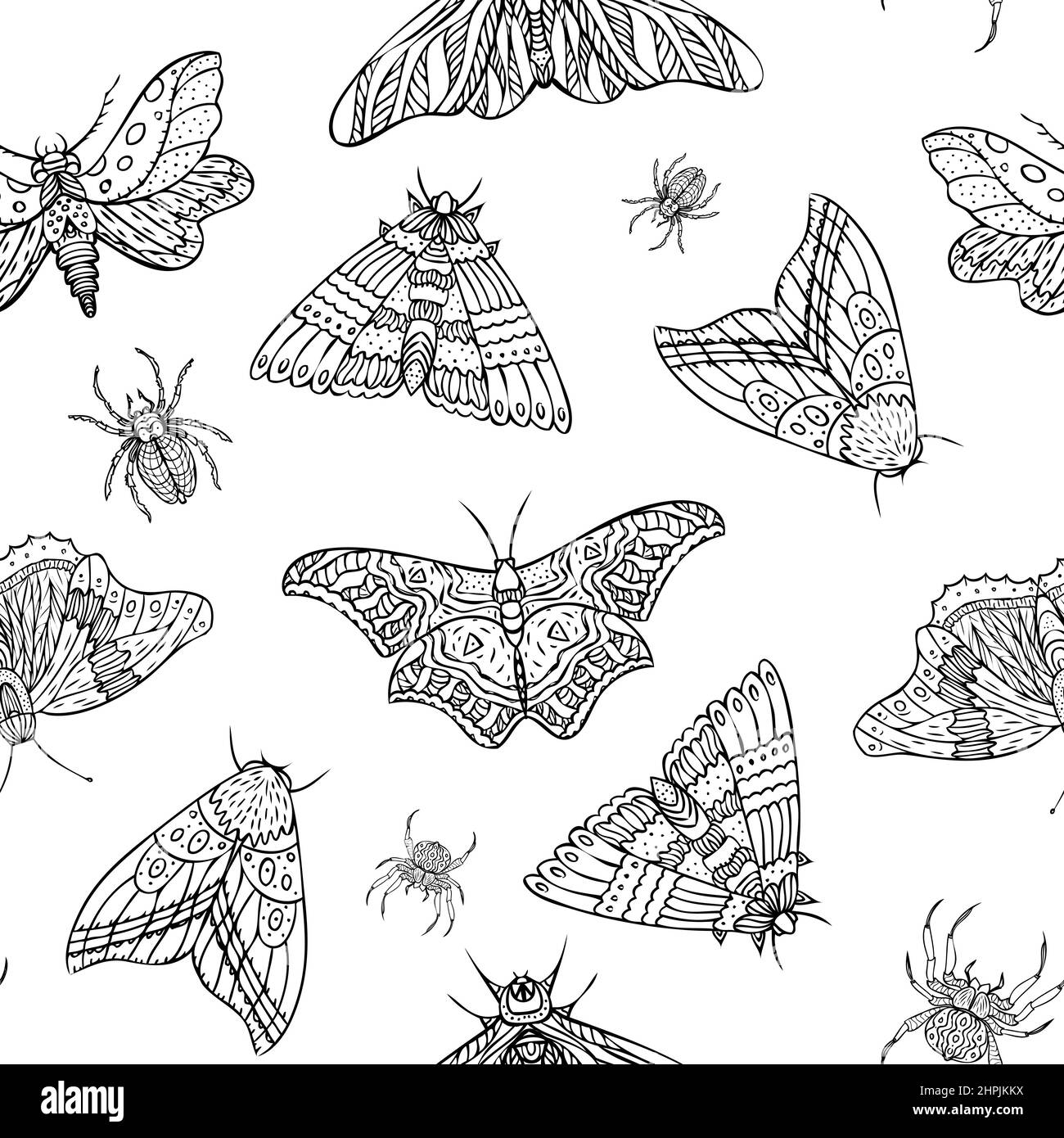 Modello senza giunture di farfalle e ragni notturni vettoriali. Illustrazione vettoriale Illustrazione Vettoriale