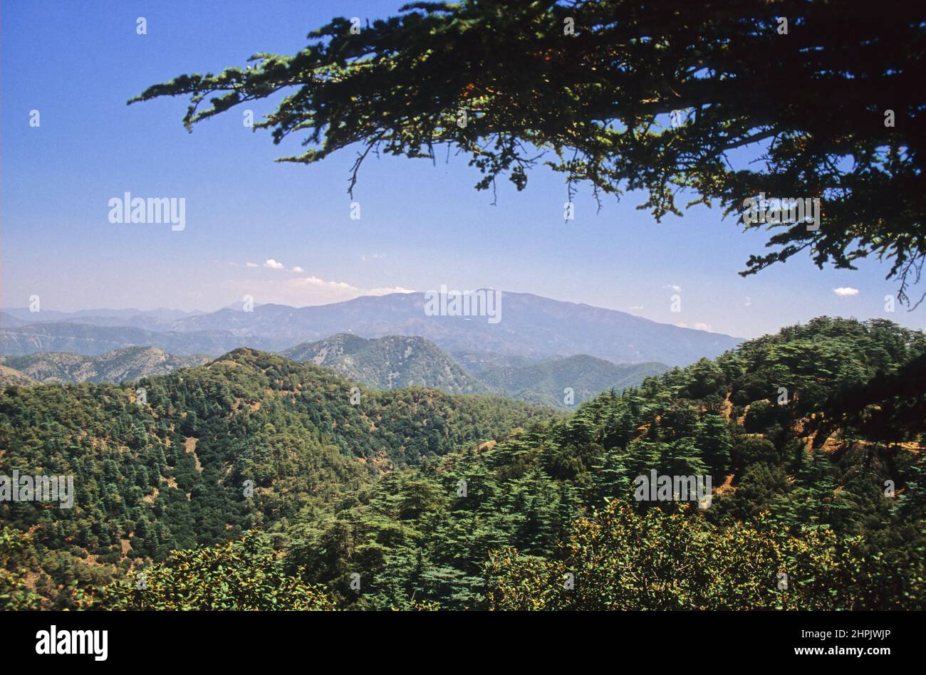 Montagne Tillyrian vicino Cedar Valley, guardando attraverso il Monte Olympus nella catena Troodhos, Cipro: Vista su ampie colline boscose Foto Stock