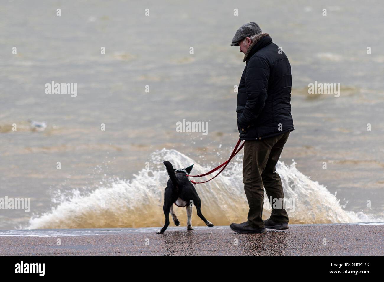 L'uomo ed il suo cane che osservano le onde di rottura durante un'alta marea di picco combinata con Storm Franklin in Southend sul mare, Essex, Regno Unito. Cane stellato Foto Stock