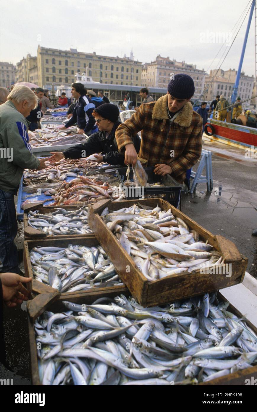 PECHE EN MER MEDITERRANEE CHALUTIER PORTO DI MARSIGLIA Foto Stock