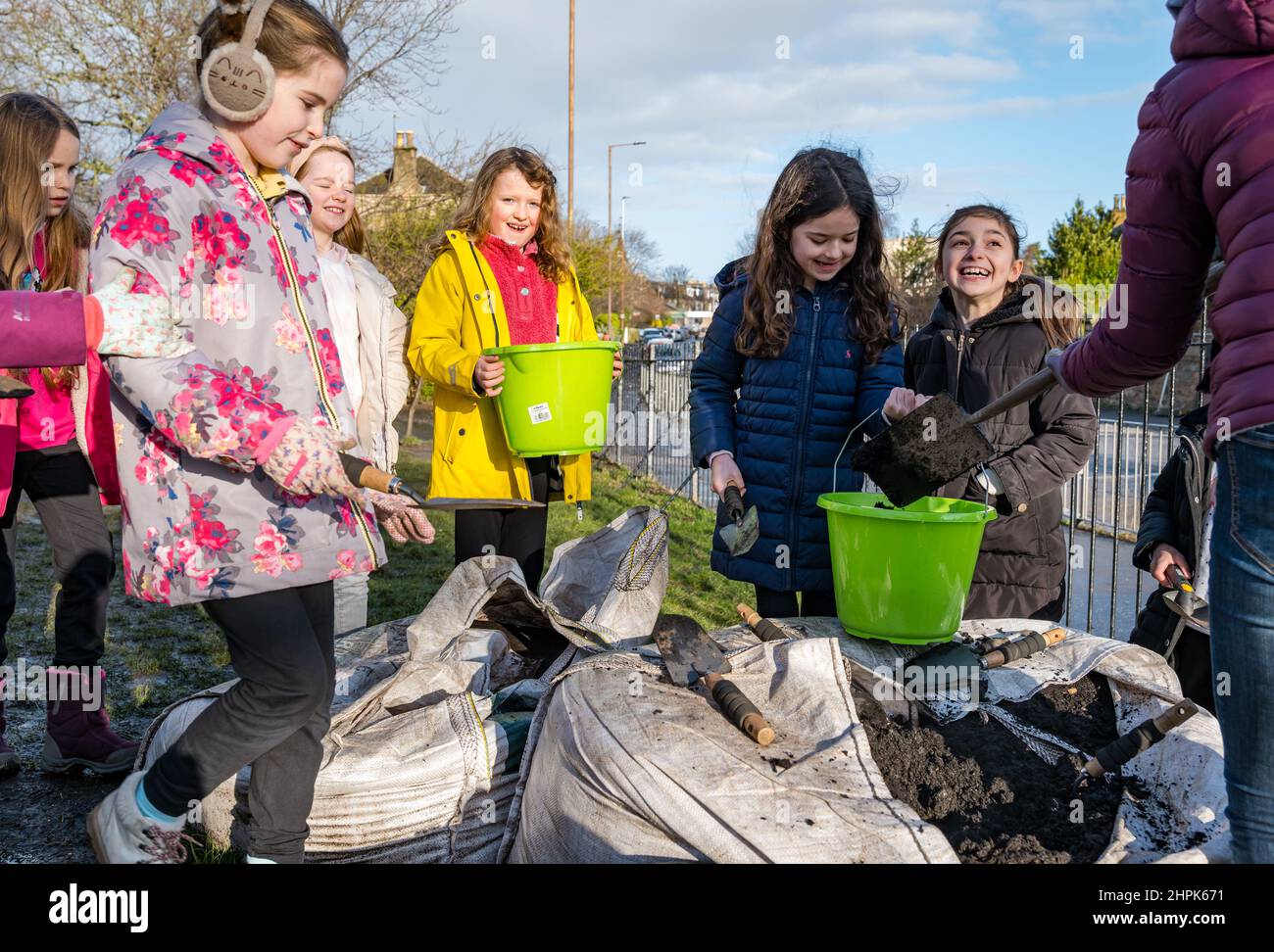 Trinity Primary School, Edimburgo, Scozia, Regno Unito, 22 febbraio 2022. Topsoil Botanico per le scuole: Lo scavo durante il Royal Botanic Garden Biomes Project dà luogo a un'eccedenza di topsoil di 50 tonnellate che viene data a scuole, allotments & organizzazioni della comunità da Balfour Beatty. Una consegna di 5 tonnellate avviene presso la Trinity Primary School per trasportare il suolo o la terra per riempire piantatrici nel giardino della scuola per gli allievi per coltivare le verdure. Gli allievi primari 4 usano contenitori di tutte le forme e dimensioni per spostare la terra per riempire le piantatrici; lavoro di squadra è richiesto Foto Stock