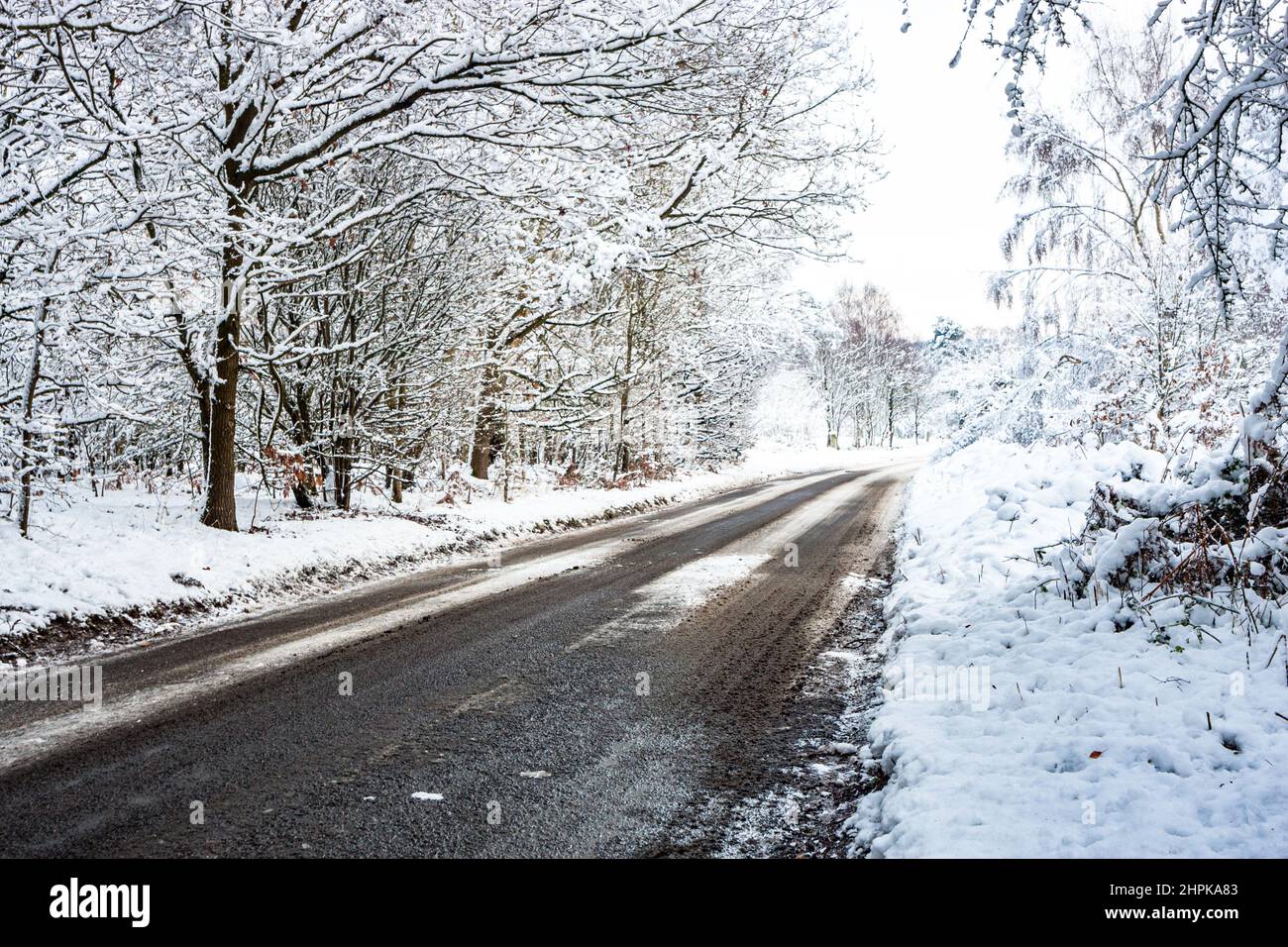 Un paesaggio tipico invernale in Inghilterra, Gran Bretagna Foto Stock