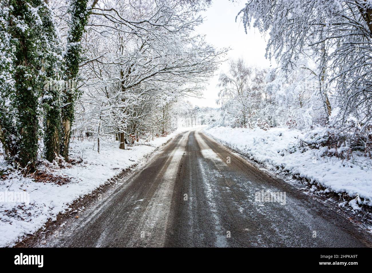 Un paesaggio tipico invernale in Inghilterra, Gran Bretagna Foto Stock