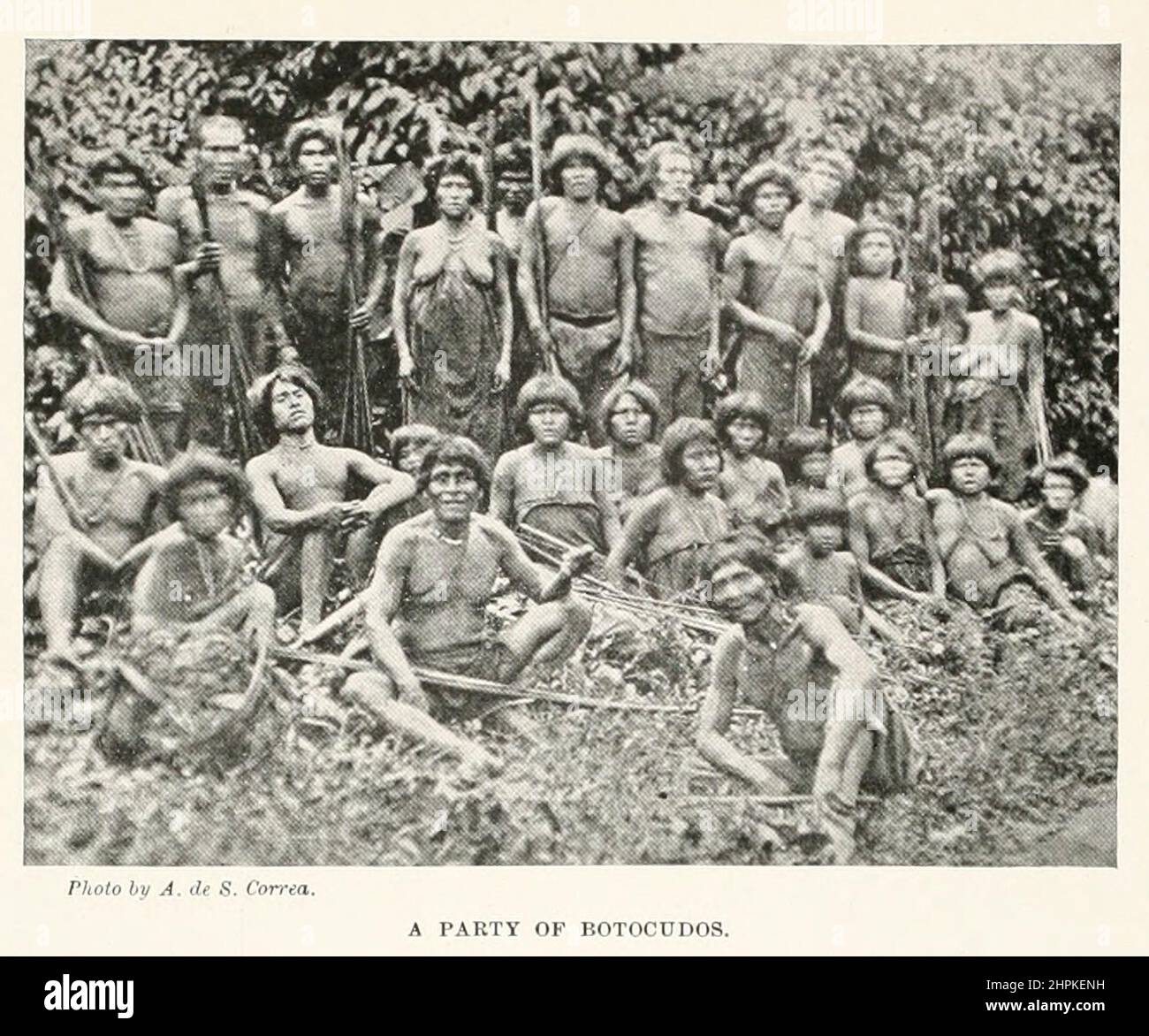 Un partito di Botocudos gli Aimoré (Aymore, Aimboré) sono uno dei diversi popoli sudamericani del Brasile orientale chiamato Botocudo in portoghese (da botoque, un tappo), in allusione ai dischi di legno o tembetás indossati nelle loro labbra e orecchie. Alcuni si chiamavano NAC-nanuk o NAC-poruk, il che significa 'suon del suolo'. L'ultimo gruppo di Aimoré a mantenere la propria lingua è il Krenak. Gli altri popoli chiamati Botocudo furono lo Xokleng e lo Xeta. Dal libro The Living Races of Mumann; Volume 2 di Henry Neville Hutchinson, pubblicato a Londra nel 1901 da Hutchinson & co Foto Stock