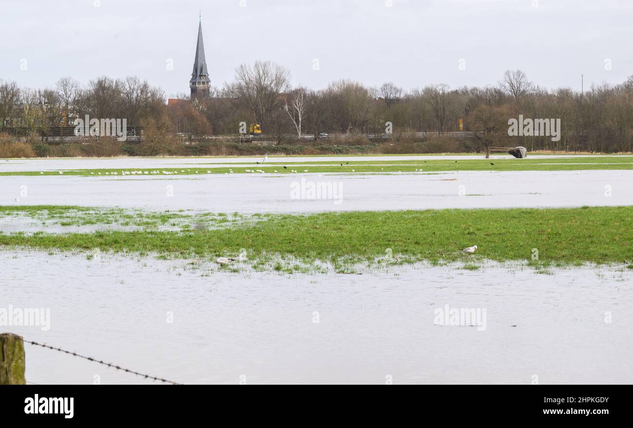 Hannover, Germania. 22nd Feb 2022. Il fiume Leine ha traboccato le sue rive a Herrenhausen. Secondo l'Agenzia statale della bassa Sassonia per la gestione delle acque, la protezione costiera e la conservazione della natura (NLWKN), il livello di allarme 2 è stato superato in alcuni indicatori di fiume, e talvolta anche il livello di allarme 3 sulla leina. Credit: Julian Stratenschulte/dpa/Alamy Live News Foto Stock