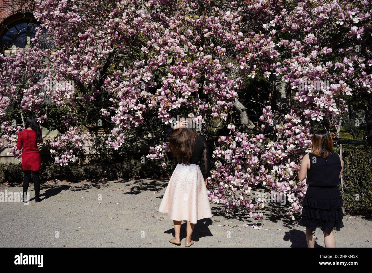 (220222) -- WOODSIDE, 22 feb. 2022 (Xinhua) -- visitors tour the Filoli Historic House & Garden in Woodside, California, Stati Uniti, 21 feb. 2022. (Xinhua/Wu Xiaoling) Foto Stock