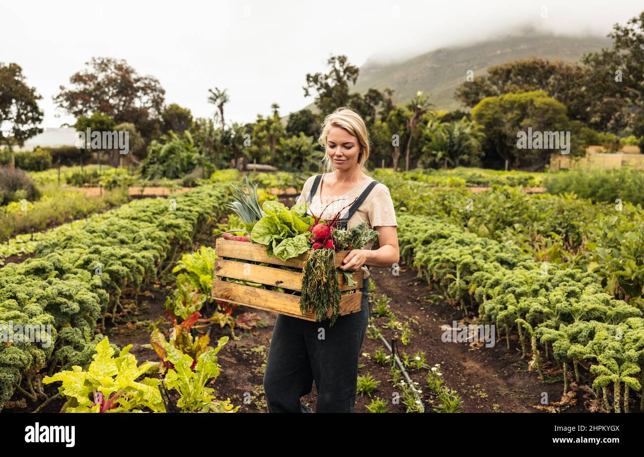 Coltivatore biologico allegro che tiene una scatola con verdure fresche. Giovane agricoltore femmina sorridente mentre raccoglie prodotti freschi dal suo orto. HAP Foto Stock