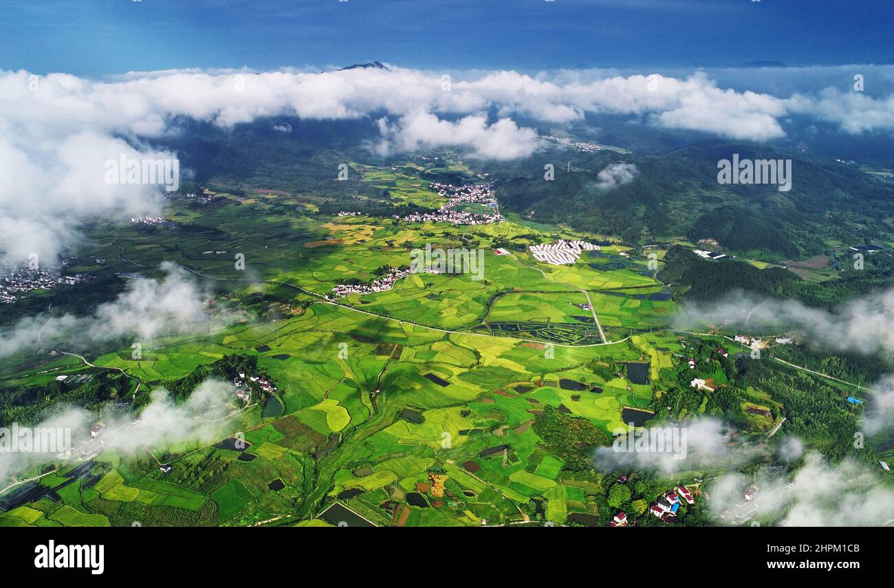 Il granaio di riso nel sud di anhui Foto Stock