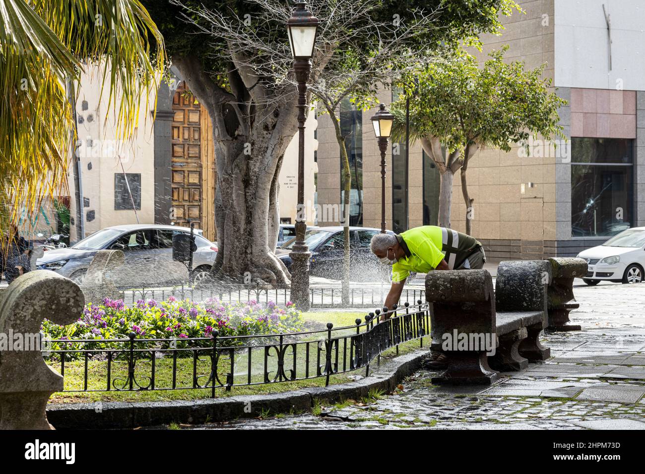 Giardiniere in camicia hi viz innaffiature piante in Plaza de Adelantado nel sito patrimonio dell'umanità di San Cristobal de la Laguna, Tenerife, Isole Canarie Foto Stock