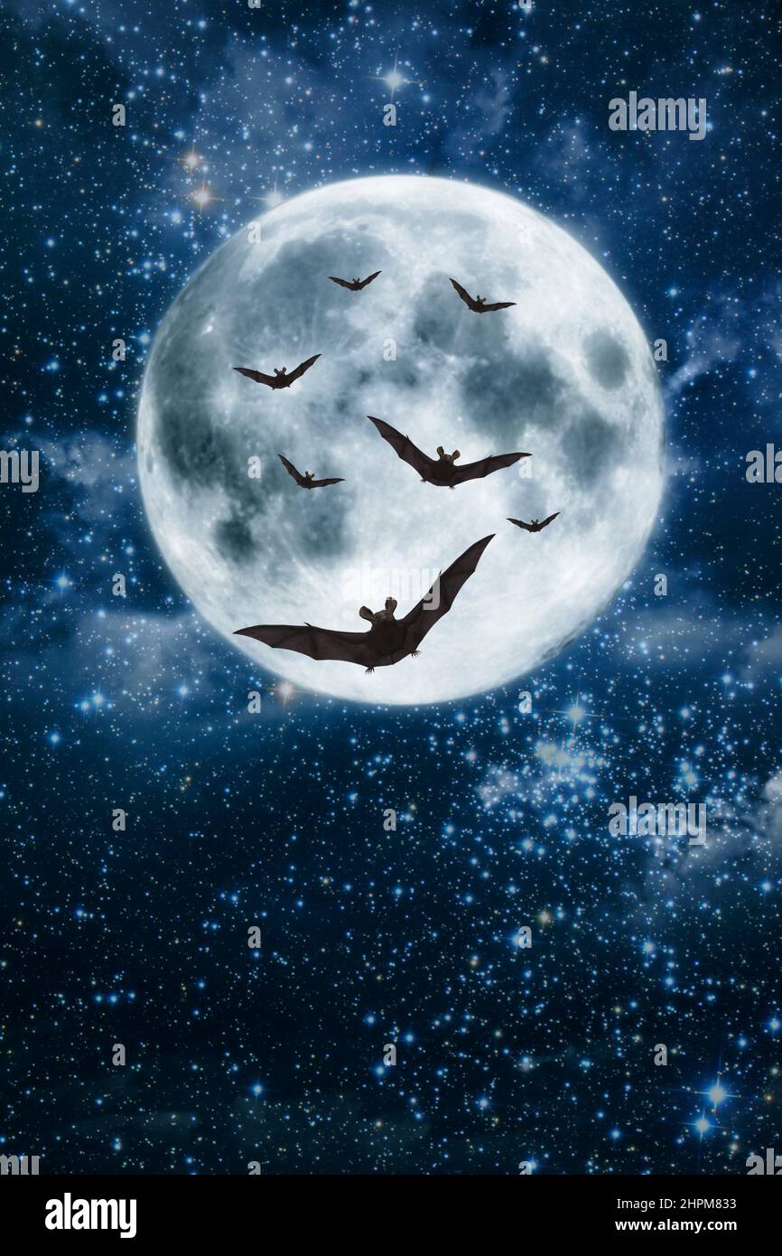 luna piena e pipistrelli Foto Stock