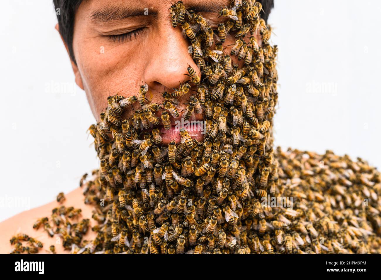 Il volto dell'uomo coperto da api Foto Stock