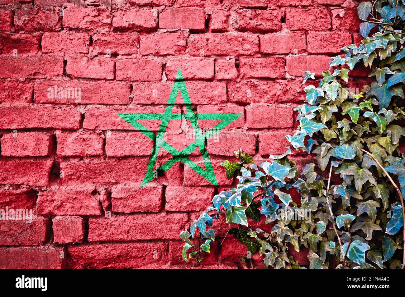 Marocco bandiera grunge su muro di mattoni con pianta di edera, simbolo di paese concetto Foto Stock