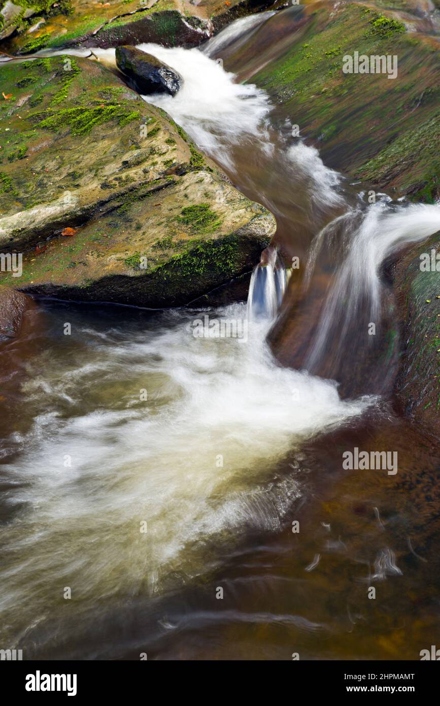 Una piccola e attraente cascata sulla Burn Anne Water vicino a Galston nell'East Ayrshire, in Scozia. Foto Stock