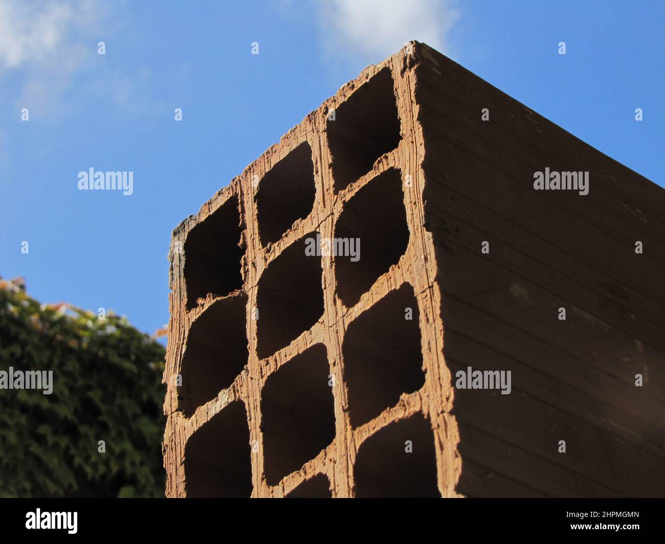 Costruzione di una parete cava di mattoni con una parete con piante sullo sfondo Foto Stock
