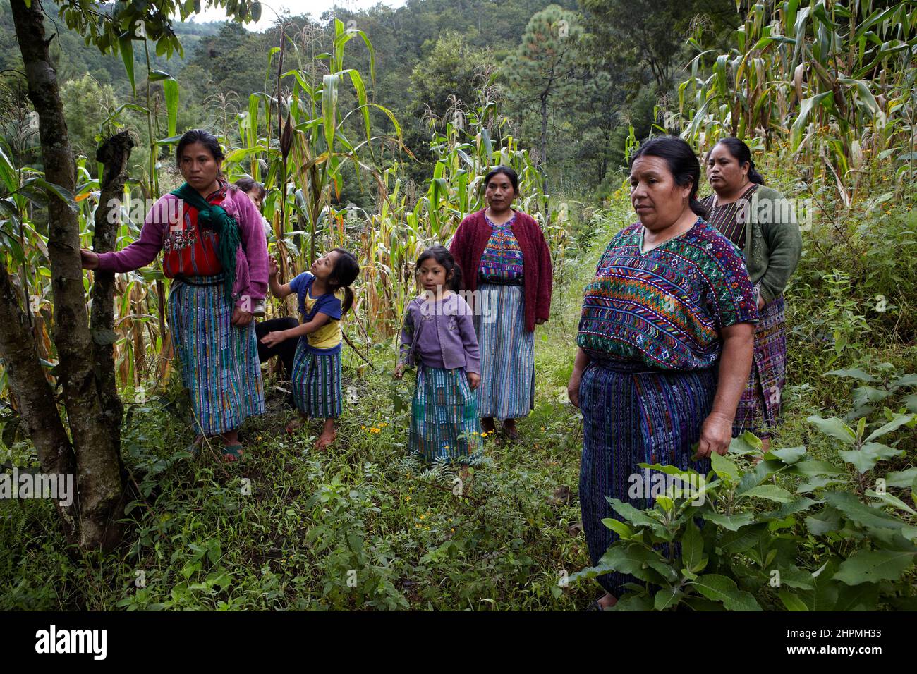 Donne del gruppo di AMIDI a Pachay Guatemala in giardino per cure naturali e verdure. Foto Stock