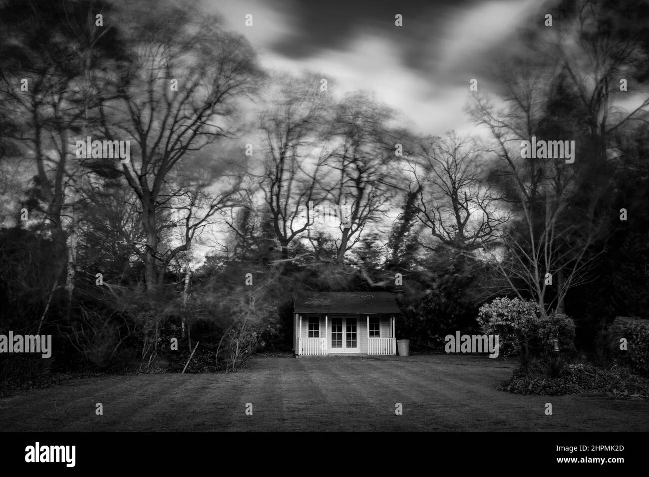 Gli alberi soffocati dal vento si muovono nei forti venti della tempesta invernale Eunice durante un intervallo di sole nel febbraio 2022 in un giardino a Surrey, nel sud-est dell'Inghilterra Foto Stock