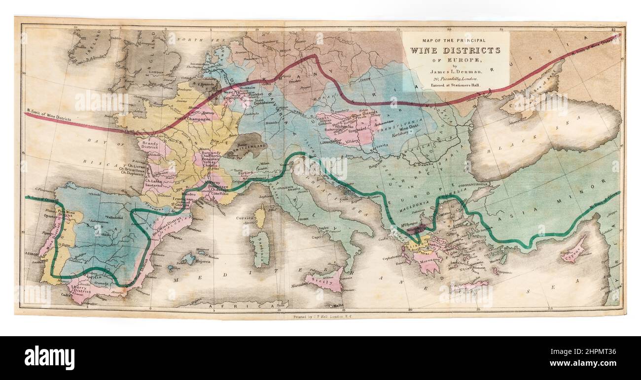 1875 Vintage Wine Map of the Principle Wine Growing District of Europe storico vecchio colore Etching litografia mappa di James L Denman la sua cultura e trattamento in Europa , 1875. Foto Stock