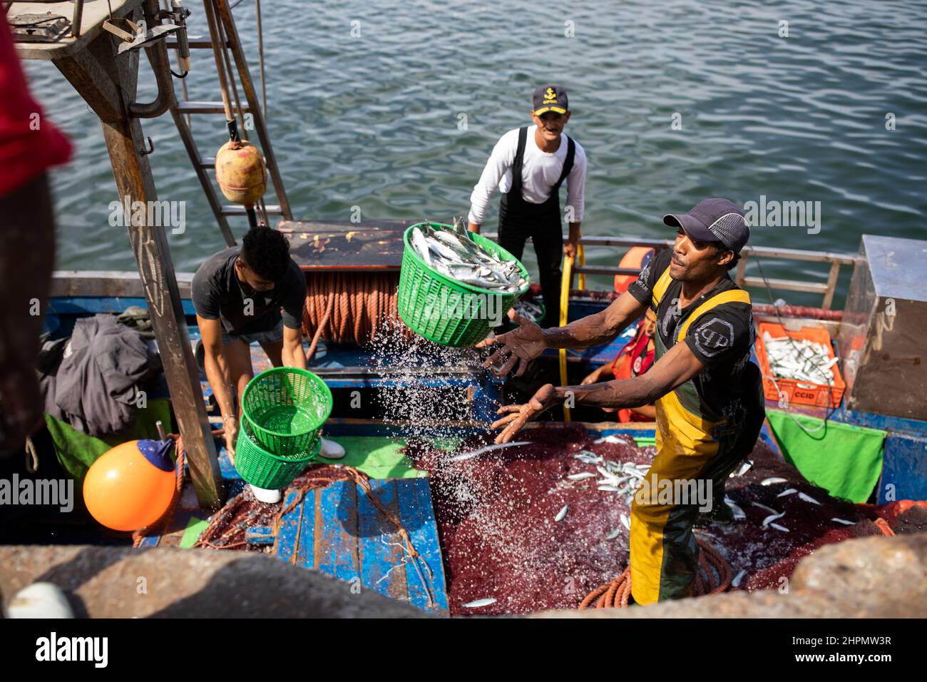 I lavoratori portuali scaricano pesce fresco da una barca al porto di Casablanca, Marocco, Nord Africa. Foto Stock