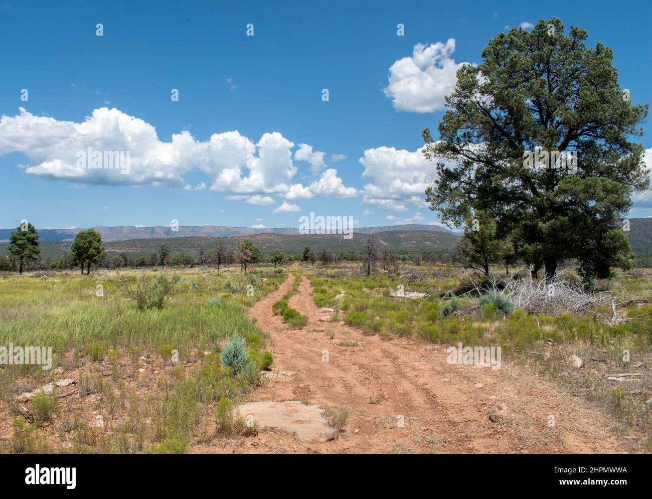 Strada sterrata in un enorme campo aperto che conduce a montagne lontane in una giornata mista di sole e nuvoloso. Foto Stock