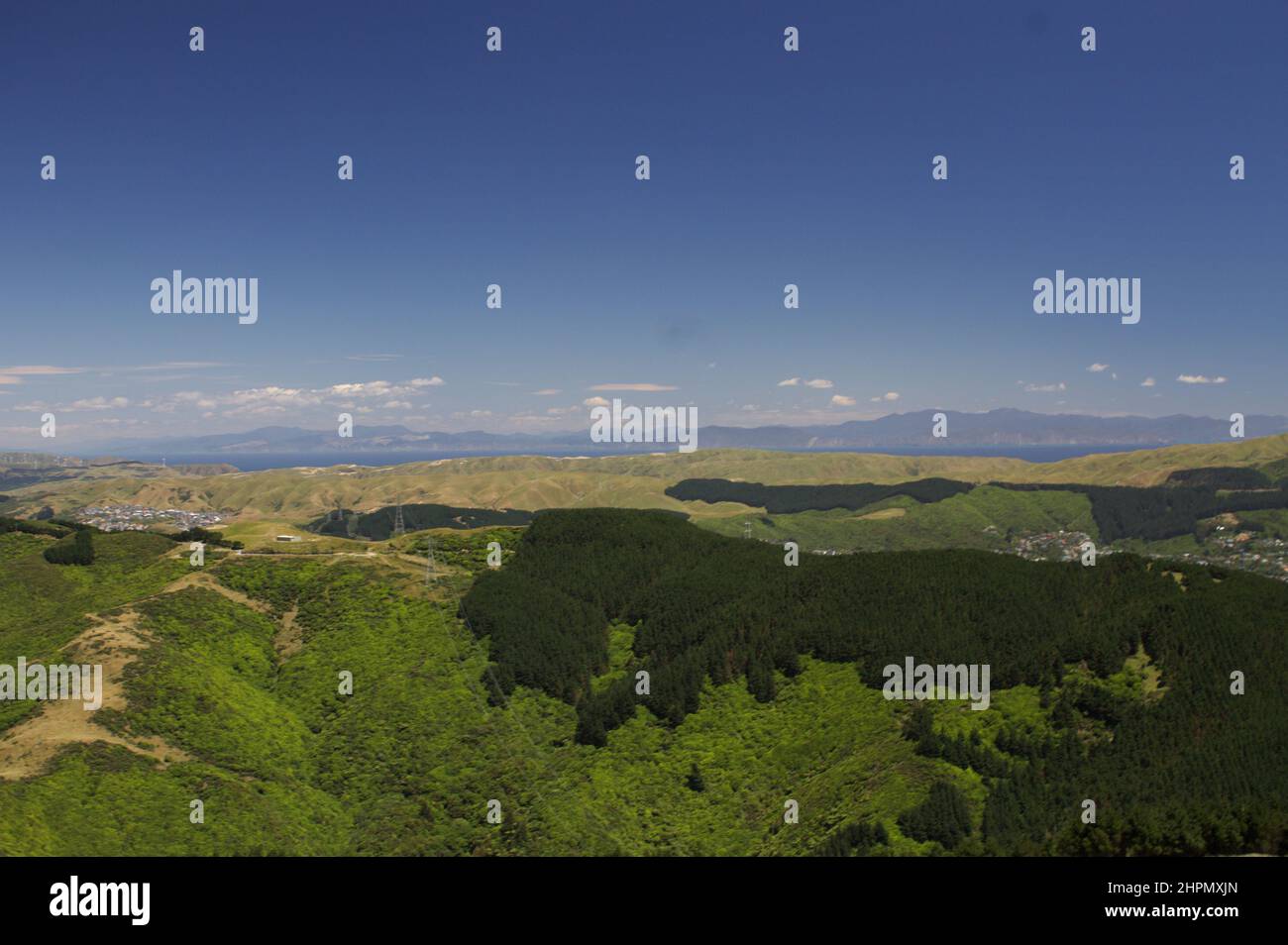 Vista aerea del sentiero per mountain bike sulle colline orientali della Valle dell'Hutt, Nuova Zelanda Foto Stock