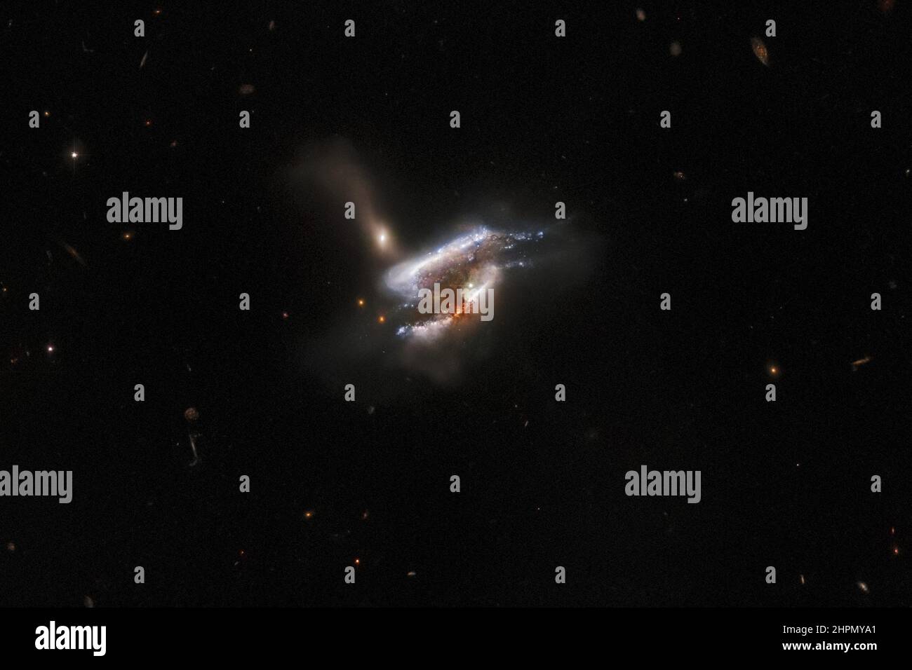 Il telescopio spaziale Hubble della NASA/ESA ha catturato quella che sembra essere una triplice fusione galassica in corso, così come una miscela tumultuosa di formazione delle stelle e distorsioni delle maree causate dalle interazioni gravitazionali di questo trio galattico. Una fitta nuvola di polvere oscura il centro di questa immagine, anche se la luce di una galassia di sfondo sta trafando le sue estremità esterne. La massa di polvere e di brillanti vortici di stelle in questa immagine sono la lontana fusione galassica IC 2431, che si trova a 681 milioni di anni luce dalla Terra nella costellazione del cancro. NASA/ESA/UPI Foto Stock