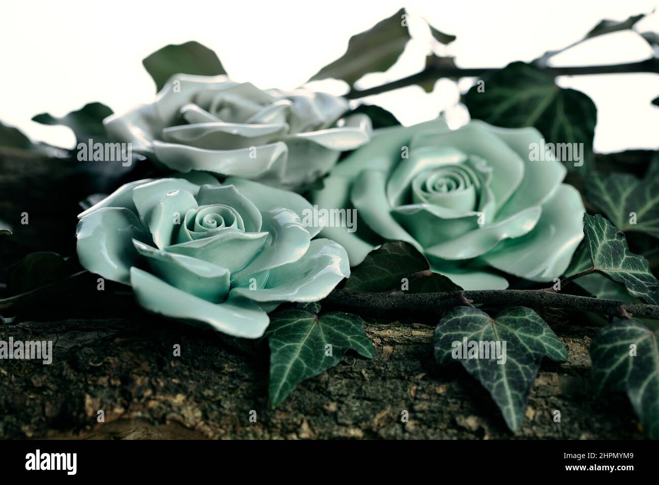 Fiore eterno immagini e fotografie stock ad alta risoluzione - Alamy