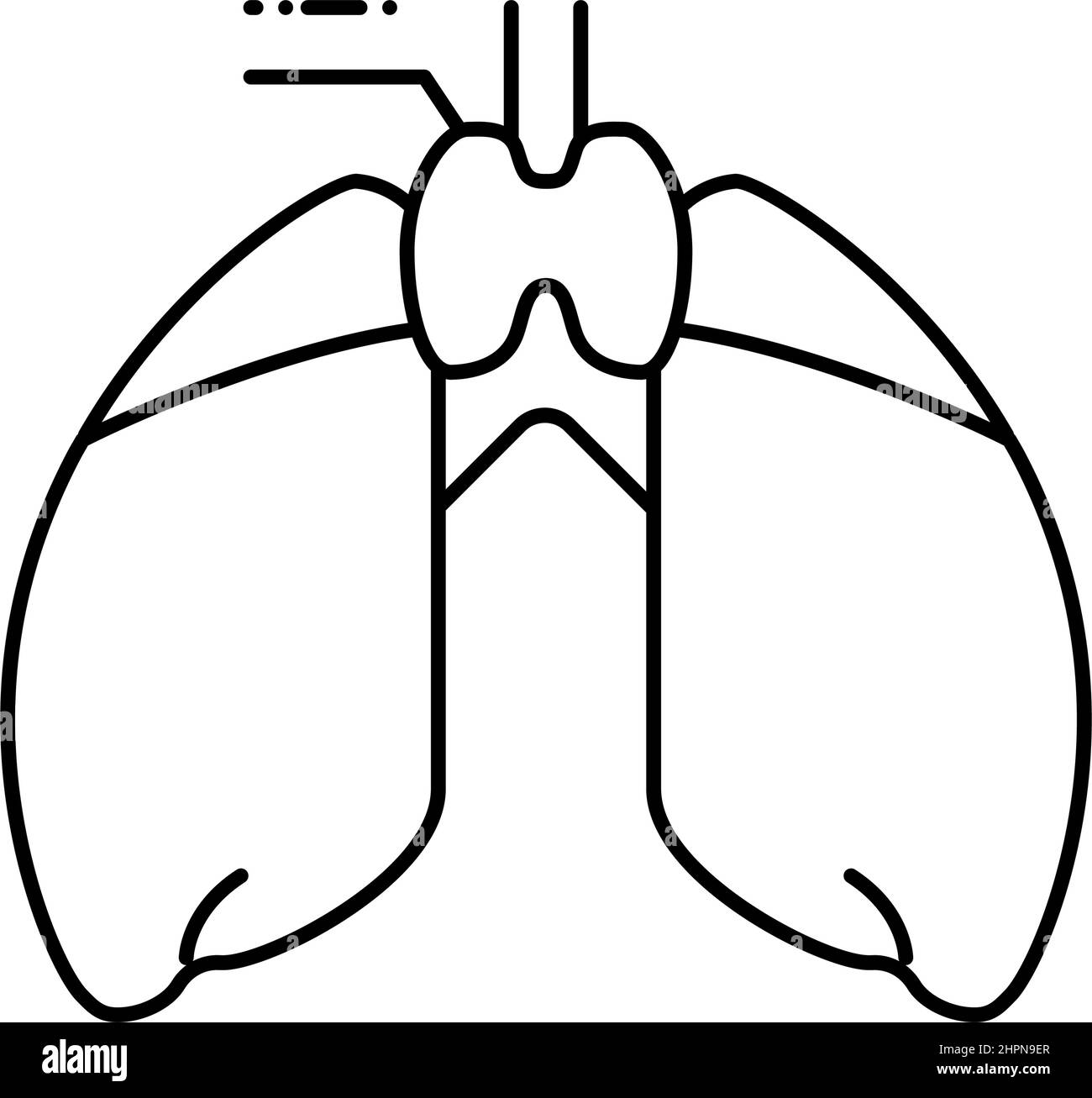 immagine vettoriale dell'icona della linea endocrinologica del timo Illustrazione Vettoriale