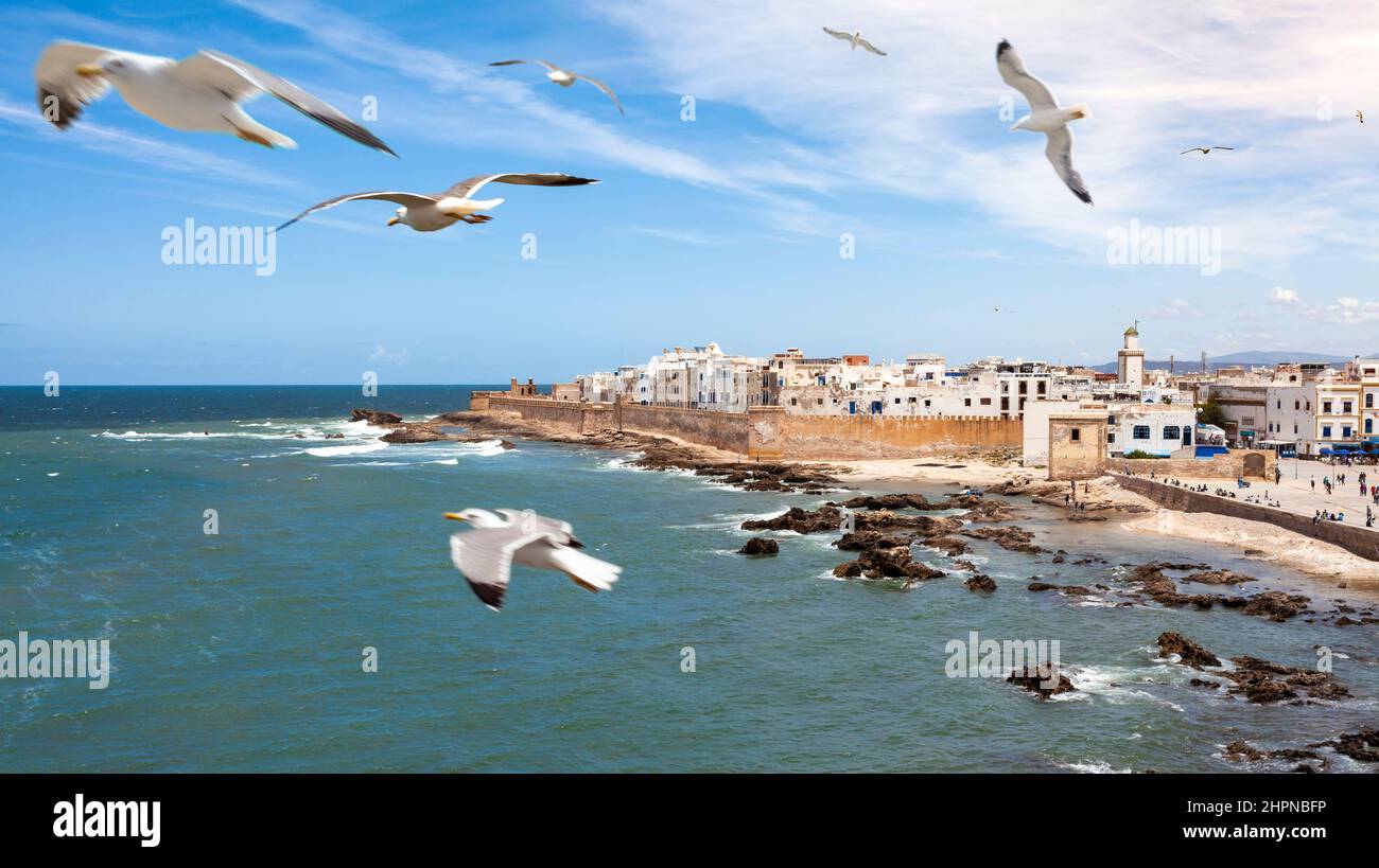 Panorama della città nordafricana Essaouira con gabbiani volanti Foto Stock