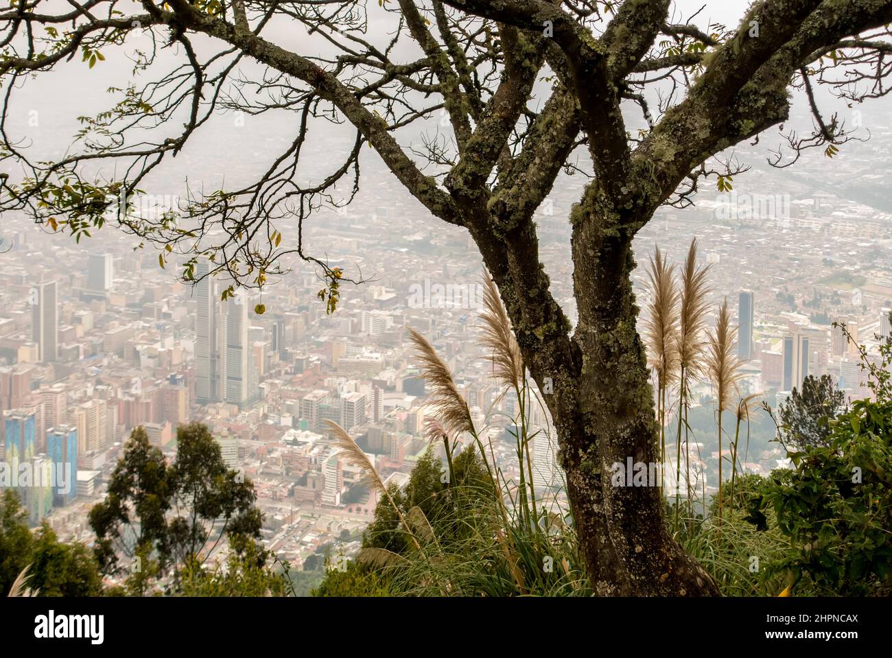 Bogota Colombia vista dalla montagna di Monserate Foto Stock