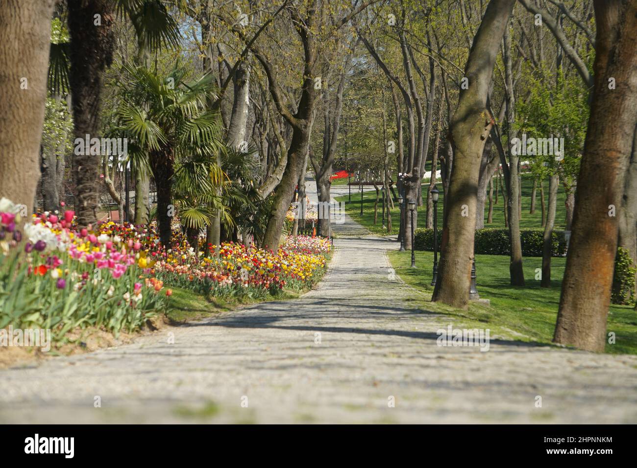 Parco dei tulipani e dei fiori dell'Emirgan Foto Stock