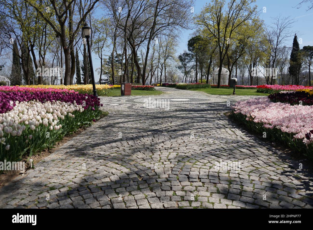 In primavera tulipani e fiori parco degli Emirati Istanbul Foto Stock