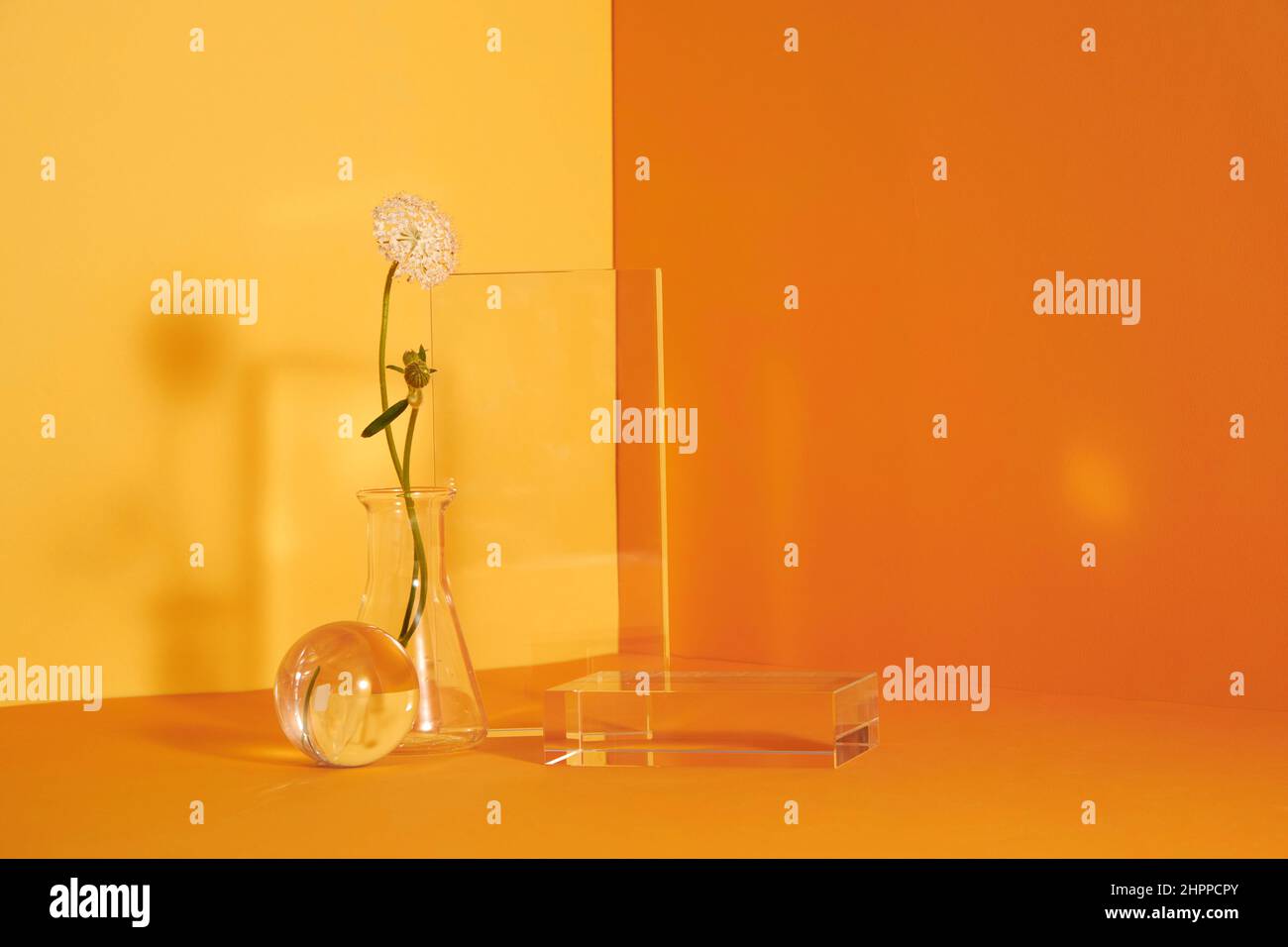 Podio in vetro e scena floreale minimale con nervature su sfondo giallo. Stand per mostrare il prodotto cosmetico. Vetrina su piedistallo moderno in vetro Foto Stock