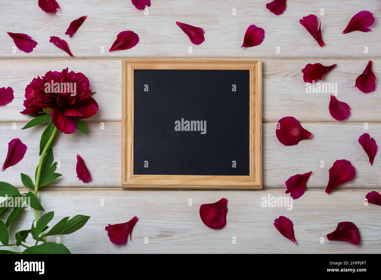 Mockup con cornice quadrata in legno di scacchiera nera con peonia e petali di borgogna. Cornice nera vuota per il design della presentazione. Modello nero fel Foto Stock