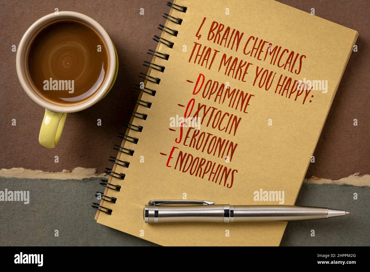 DOSE - dopamina, ossitocina, serotonina e endorfine, quattro sostanze chimiche cerebrali che ti rendono felice, scrittura a mano in un libro di schizzo con una tazza di caffè, chemi Foto Stock