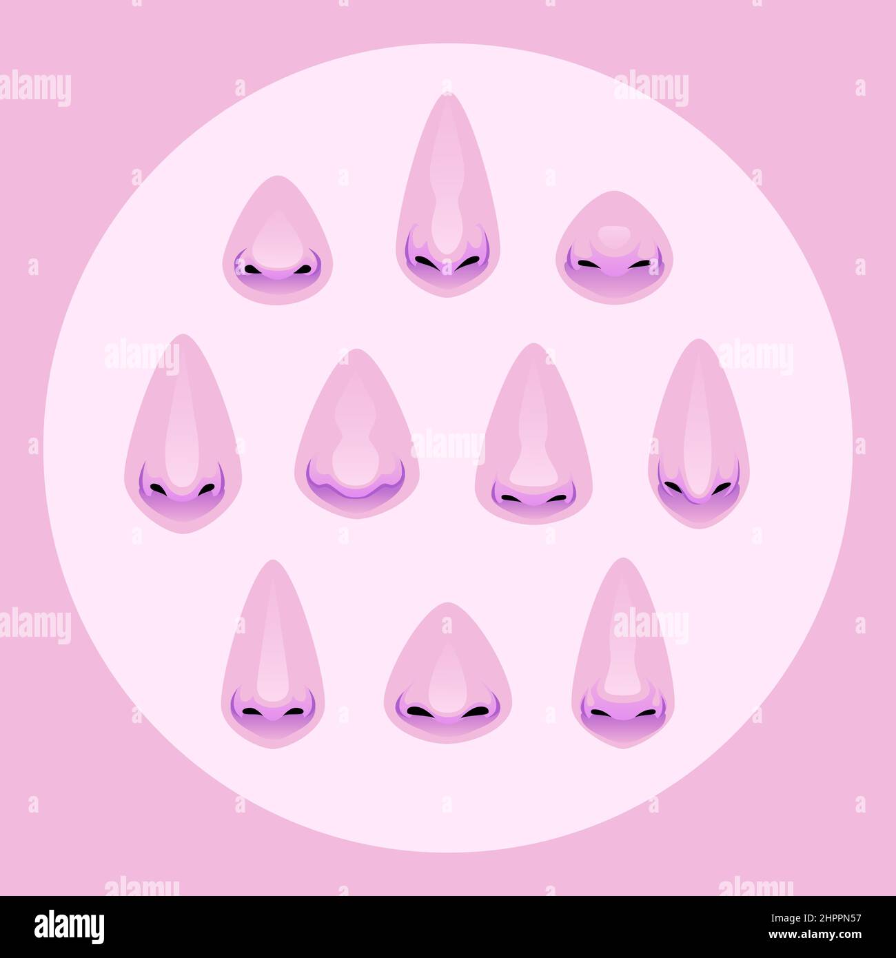 Set di nasi differenti. Illustrazione della parte della faccia. Illustrazione vettoriale Illustrazione Vettoriale