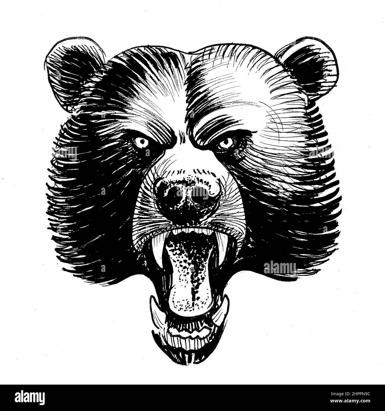 Ruggente orso grizzly. Disegno in bianco e nero con inchiostro Foto Stock