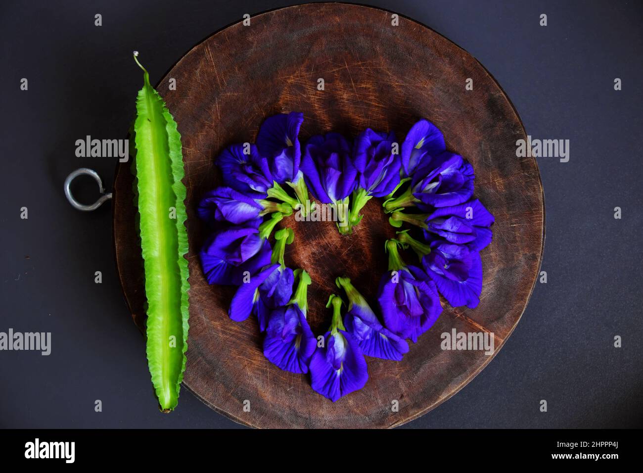 Forma dell'albero da fiore di pisello della farfalla e fagiolo del drago, questo colore naturale può fare il tè di erbe o la colorazione dell'alimento, raccolto del fiore della violetta dal giardino della terrazza Foto Stock