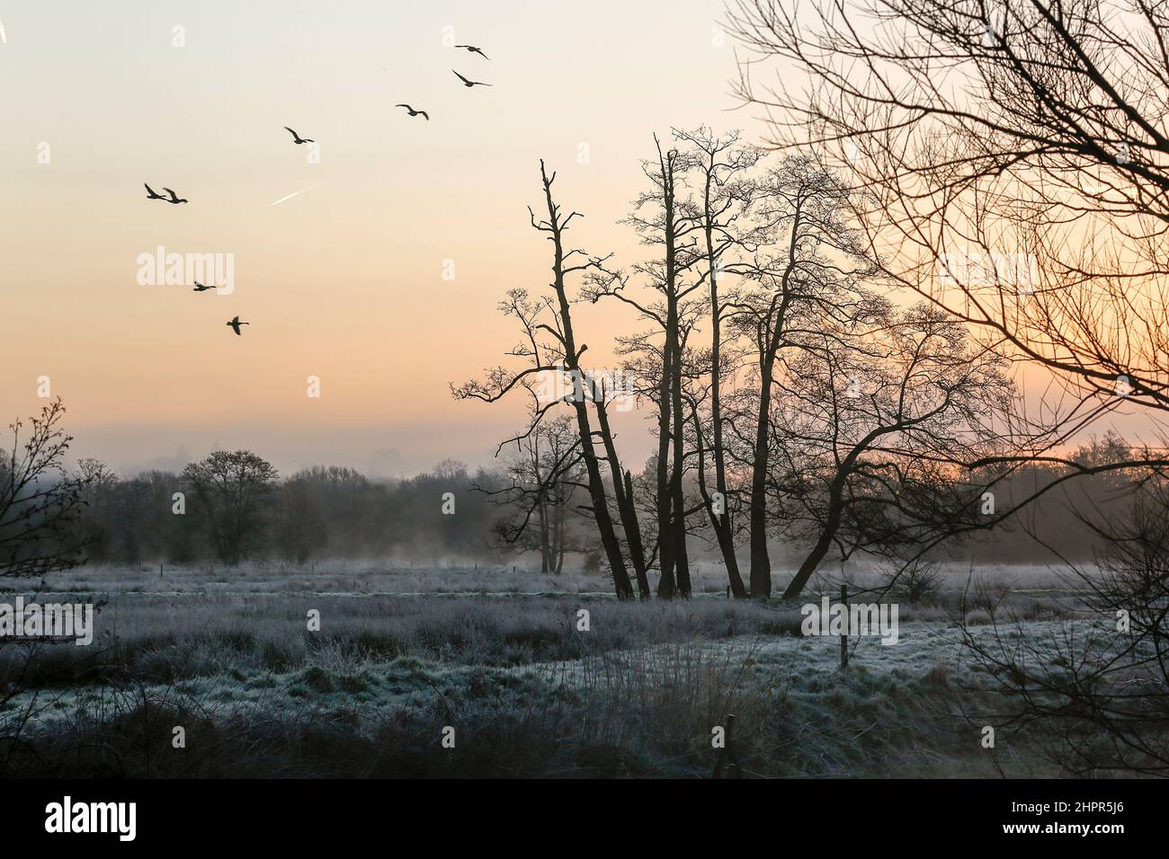 Waverley Lane, Elstead. 23rd febbraio 2022. Un freddo e gelido inizio di giornata per le contee domestiche. Condizioni gelide lungo il fiume Wey a Thungry Meadows a Elstead, vicino a Godalming, a Surrey. Credit: james jagger/Alamy Live News Foto Stock